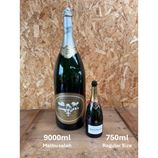 HUGE 9000ml (Salmanzar) Perrier Jouet Champagne Bottle
