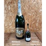 HUGE 9000ml (Salmanzar) Perrier Jouet Champagne Bottle